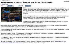201307-17 luglio 2013 Il pino secolare di Palese_ dopo 200 anni rischia l abbattimento _ Barinedita - Testata giornalistica online-page-001